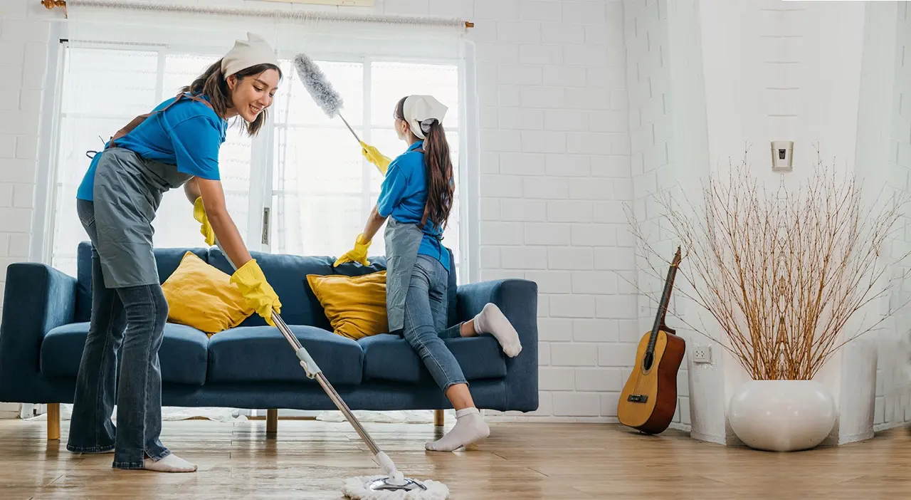 Professional Cleaning Services